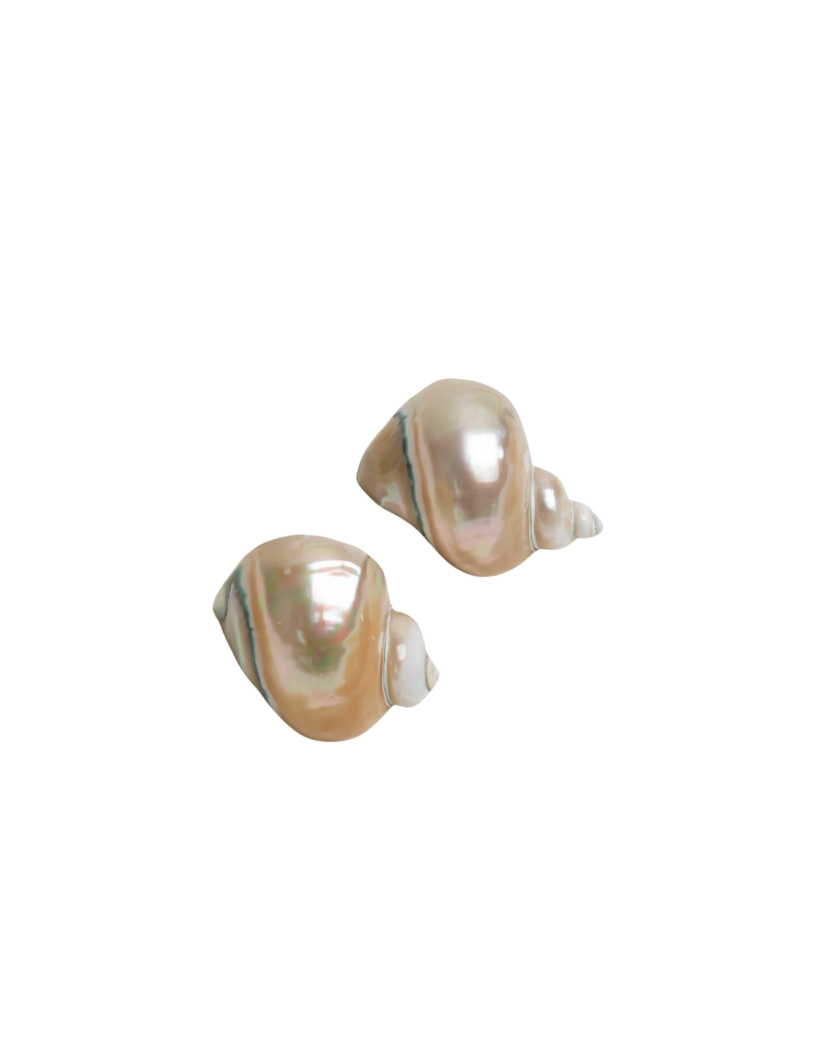 SET X2 - SHELL NAPKIN RING