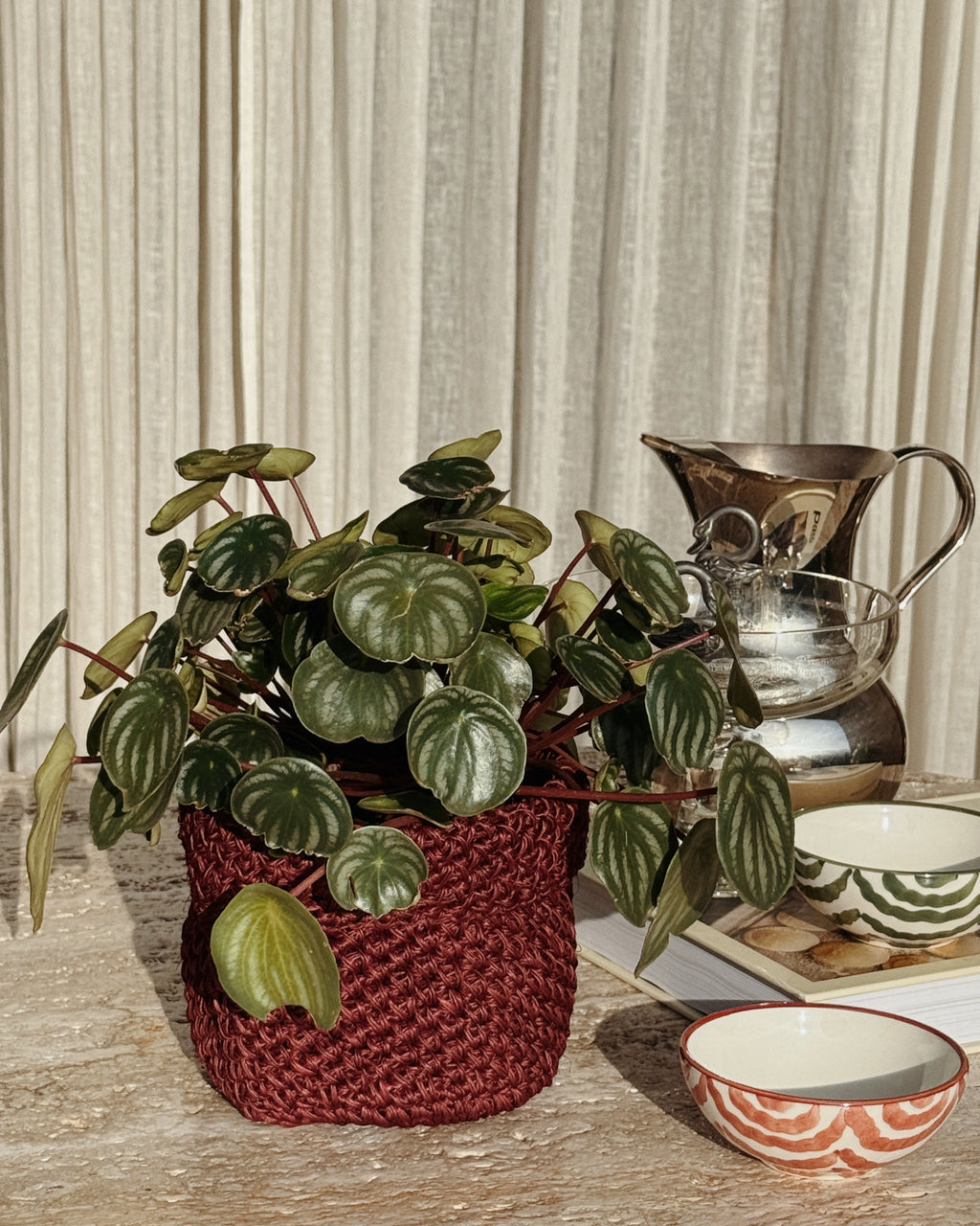 FIQUE MINI BASKET WINE