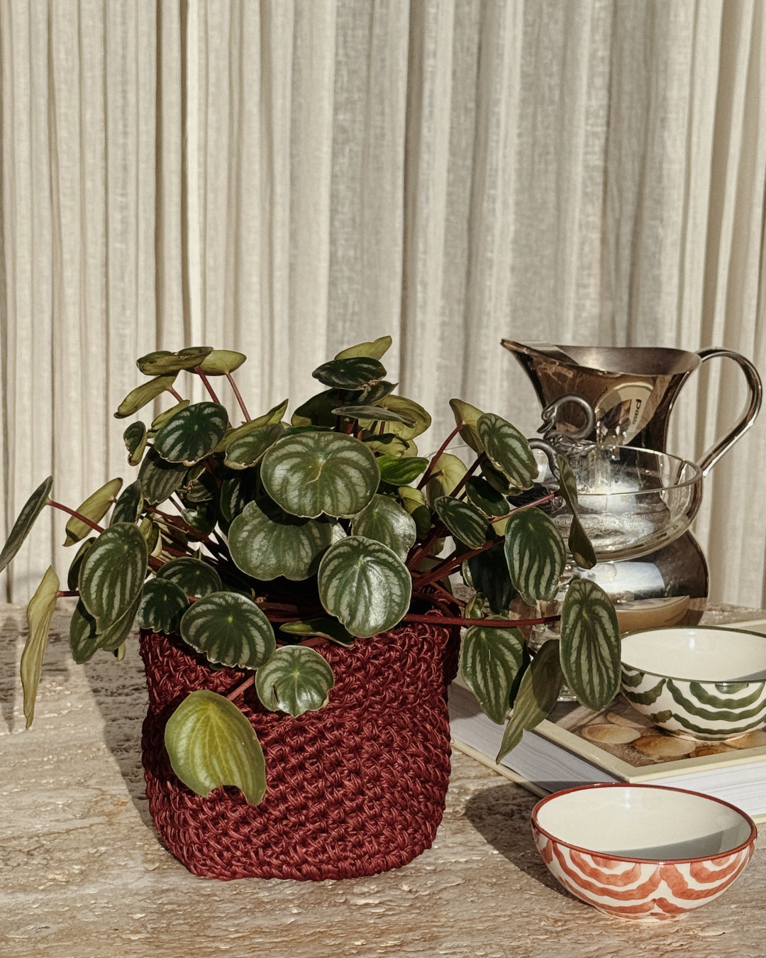 FIQUE MINI BASKET WINE